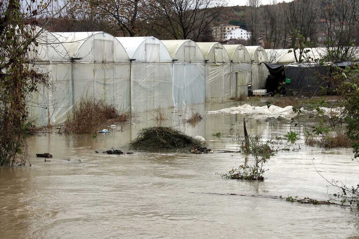 Yalova\'da Dere Taştı, 50 Sera Sular Altında Kaldı