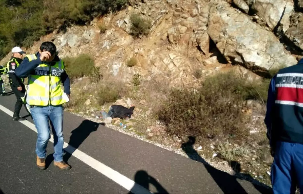 Yayayı Çarpıp Kaçan Şahıs Tutuklandı