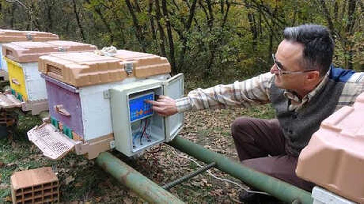 Arı Ölümleri Karşı Klimalı Kovanlarla Azalacak