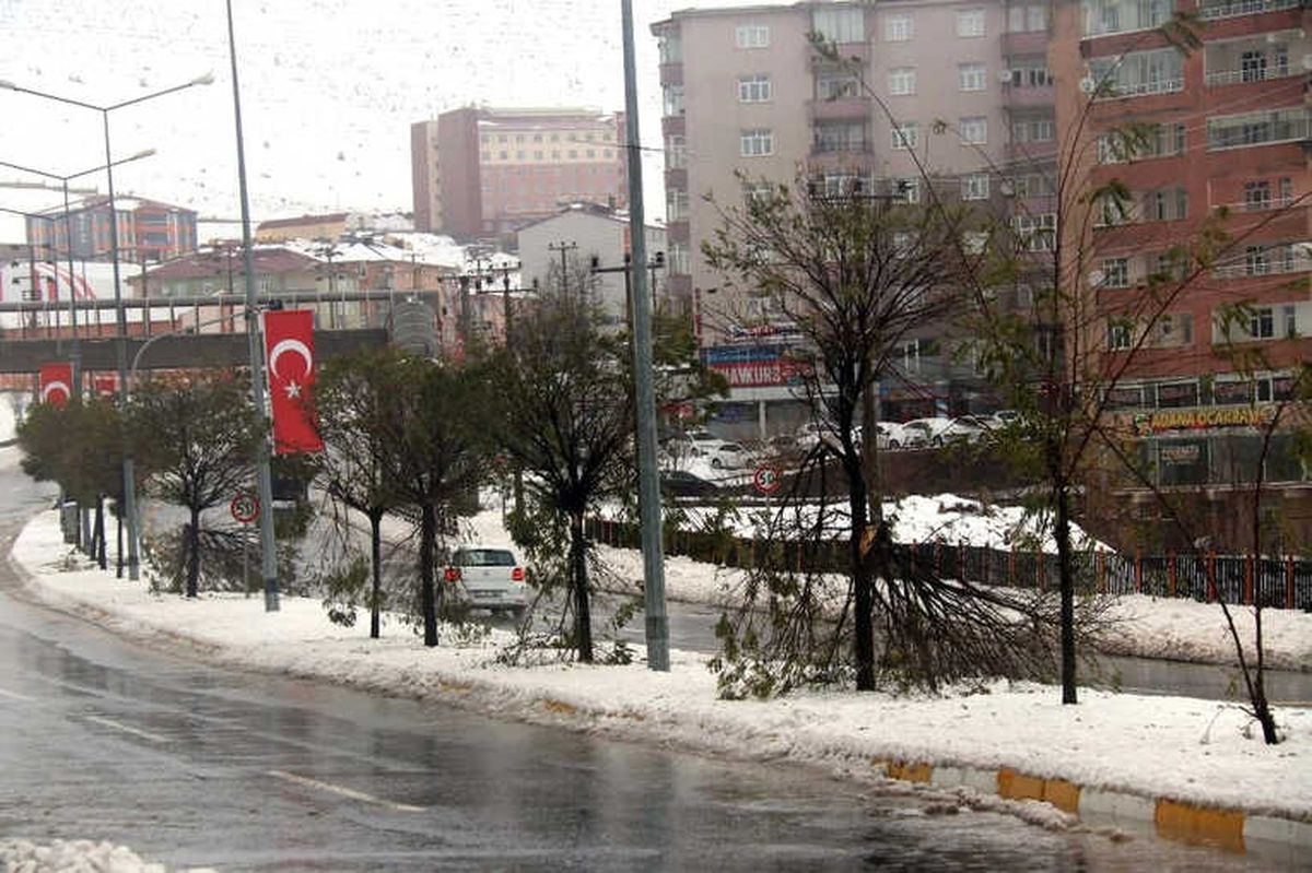 Bitlis\'te 76 Köy Yolu Ulaşıma Kapandı