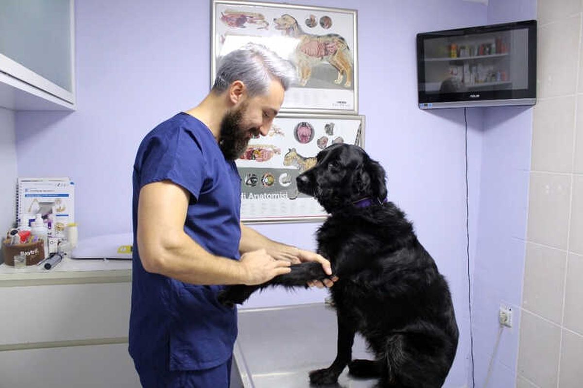 Muayenedeki Rahat Tavırlarıyla Fenomen Oldu