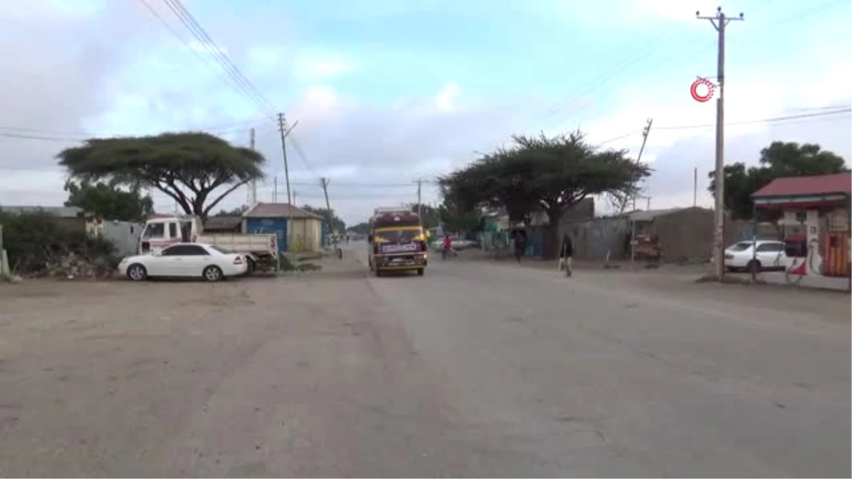Somali\'nin Yeşil Zehri: Gat- Neredeyse Tüm Ülke Bu Ota Bağımlı Yaşıyor- Yoksulluk ve İç Savaşla...