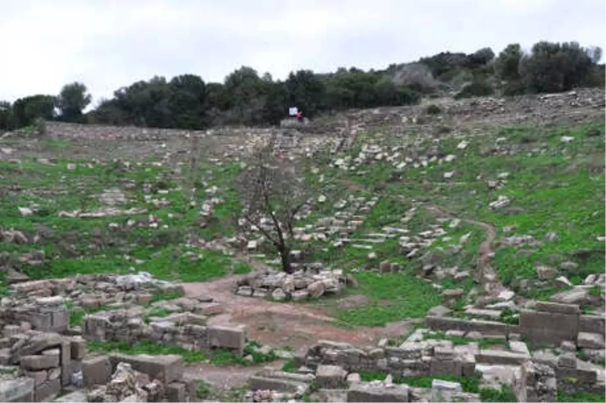 Tarlaların Arasındaki Tarih