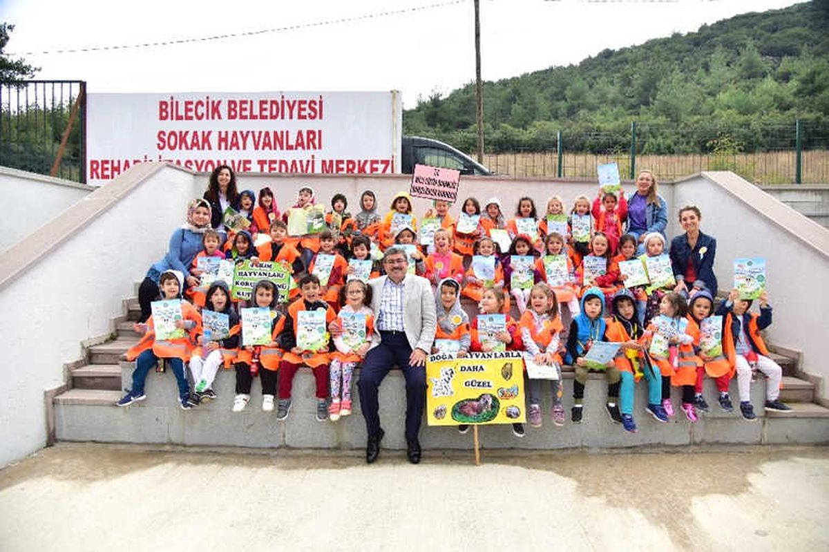 Bilecik Belediyesi Sokak Hayvanlarını Unutmadı