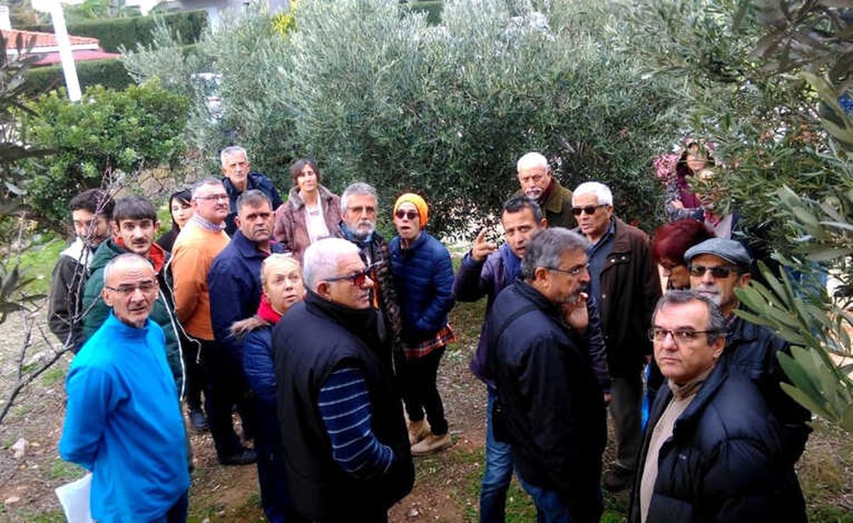 Hastalıklı Ağaçların Budayan Aletler Diğer Ağaçlara Hastalığı Bulaştırabiliyor