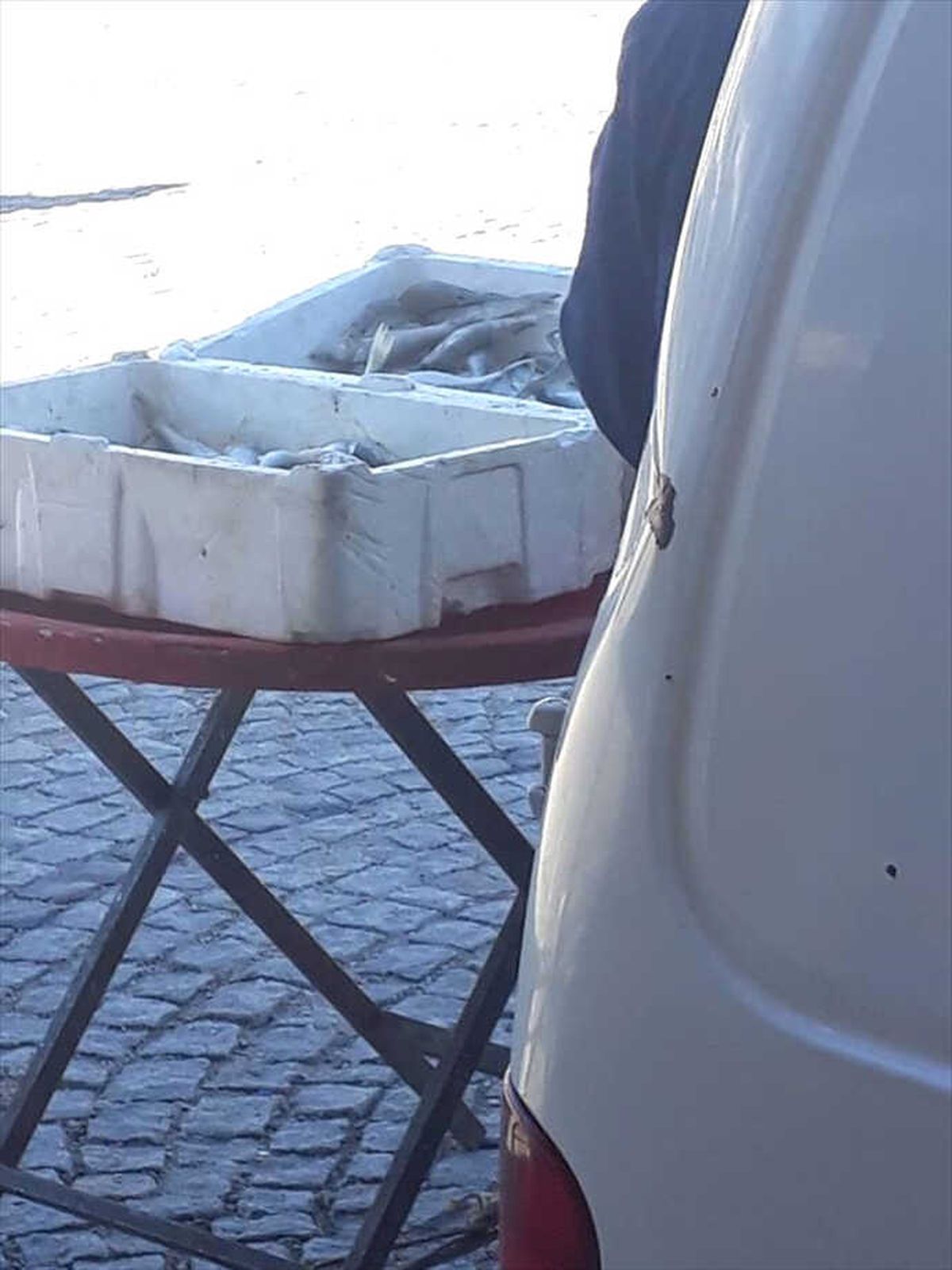Konya\'da Yasa Dışı Balık Avına Ceza