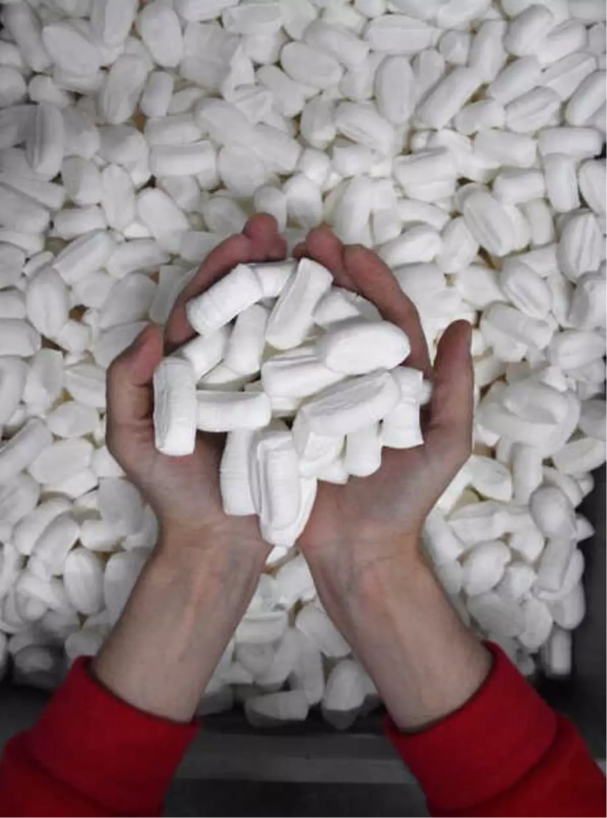 Mevlana Şekeri, Günde 100 Ton Üretiliyor