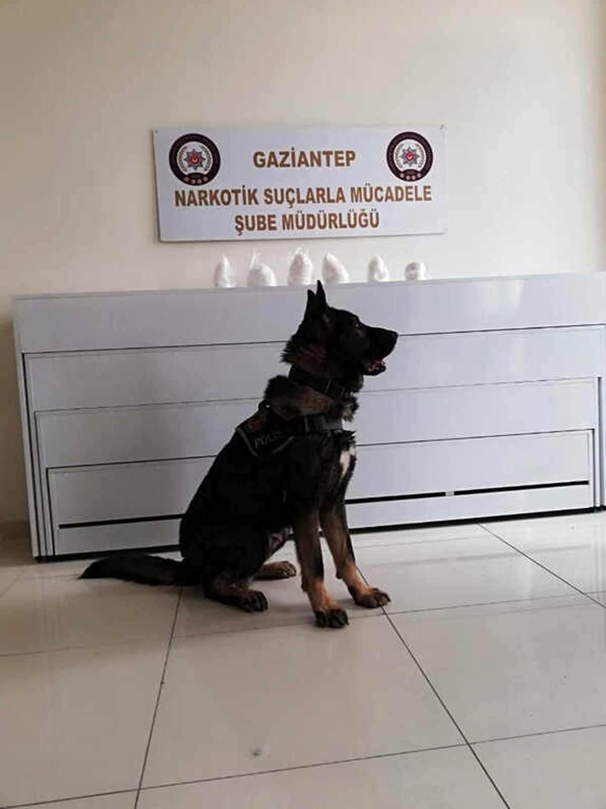 Uyuşturucu Operasyonu