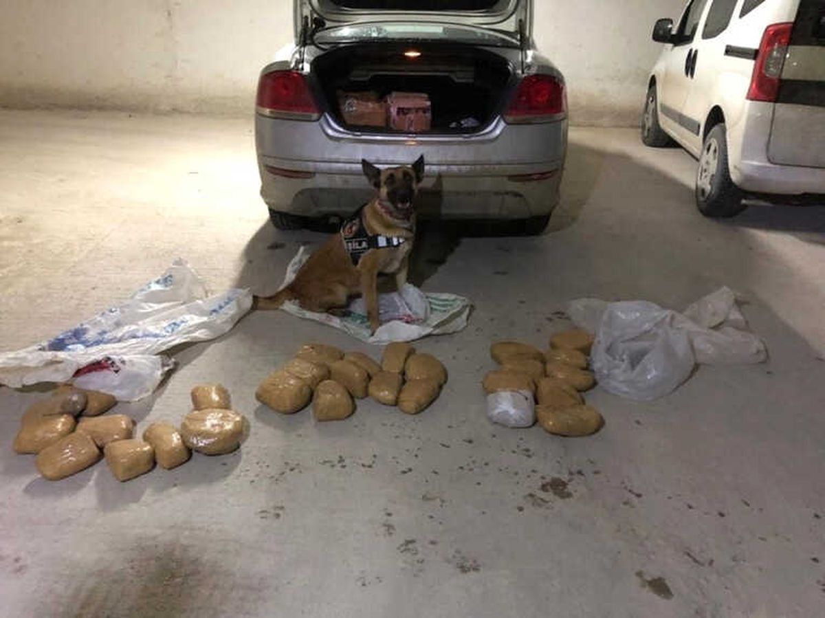 Van\'da 33 Kilo Afyon Sakızı Ele Geçirildi