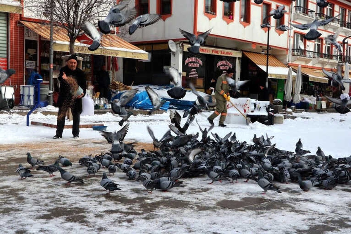 10 Yıldır Muhtarlık Maaşının Bir Kısmını Güvercinlere Harcıyor