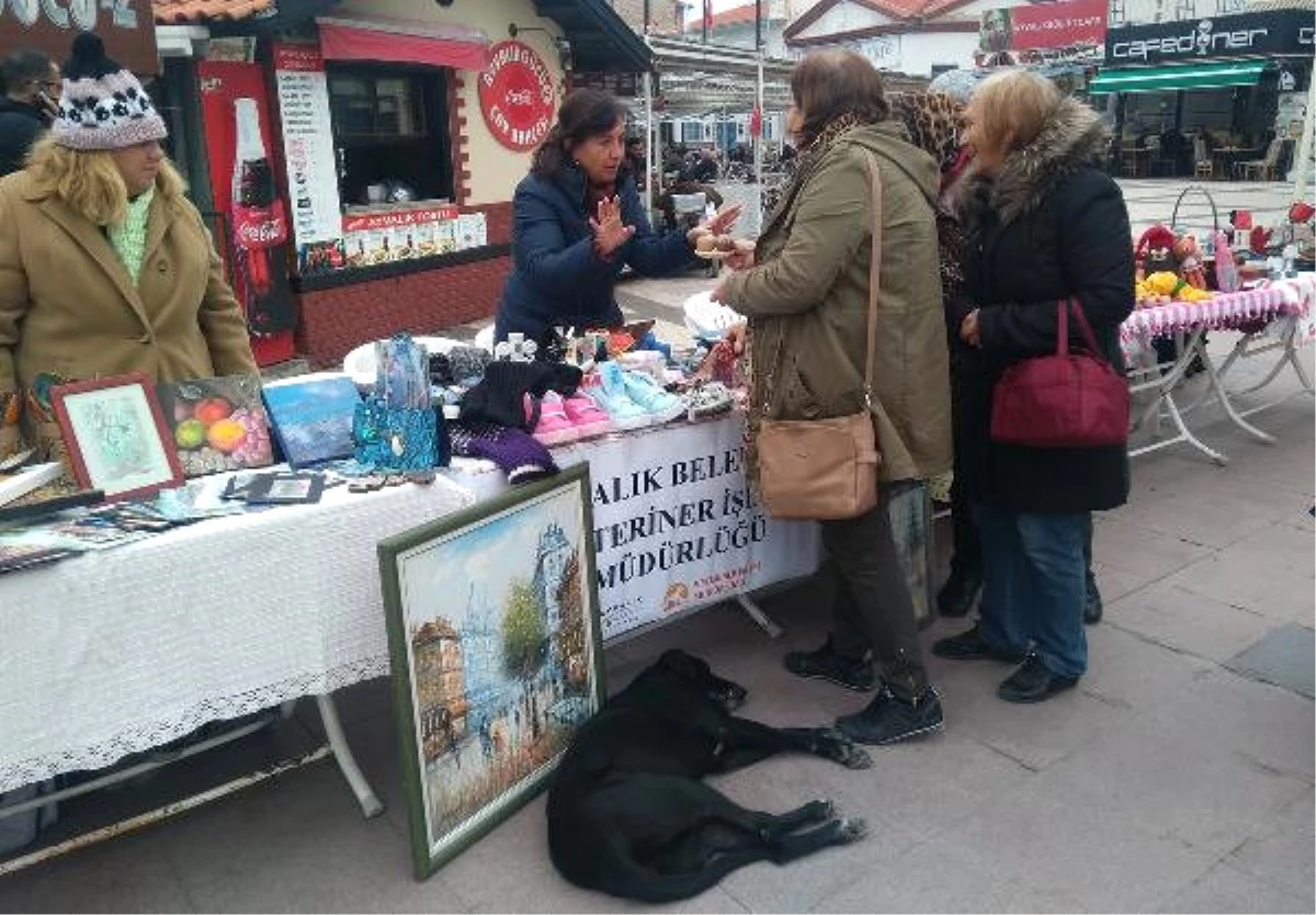 Ayvalık\'ta Sokak Hayvanları Yararına Kermes