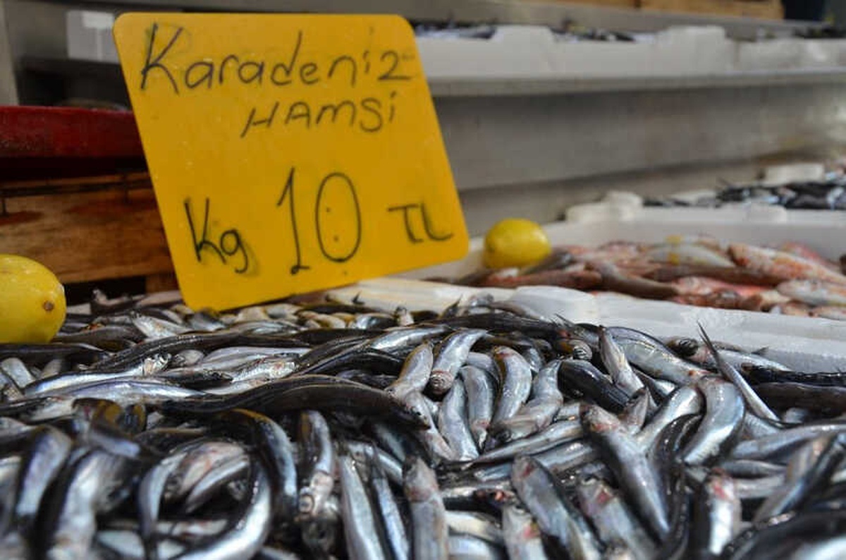 Balıkçılar Uyardı: Hamsi Fiyatı Yükselişe Geçebilir