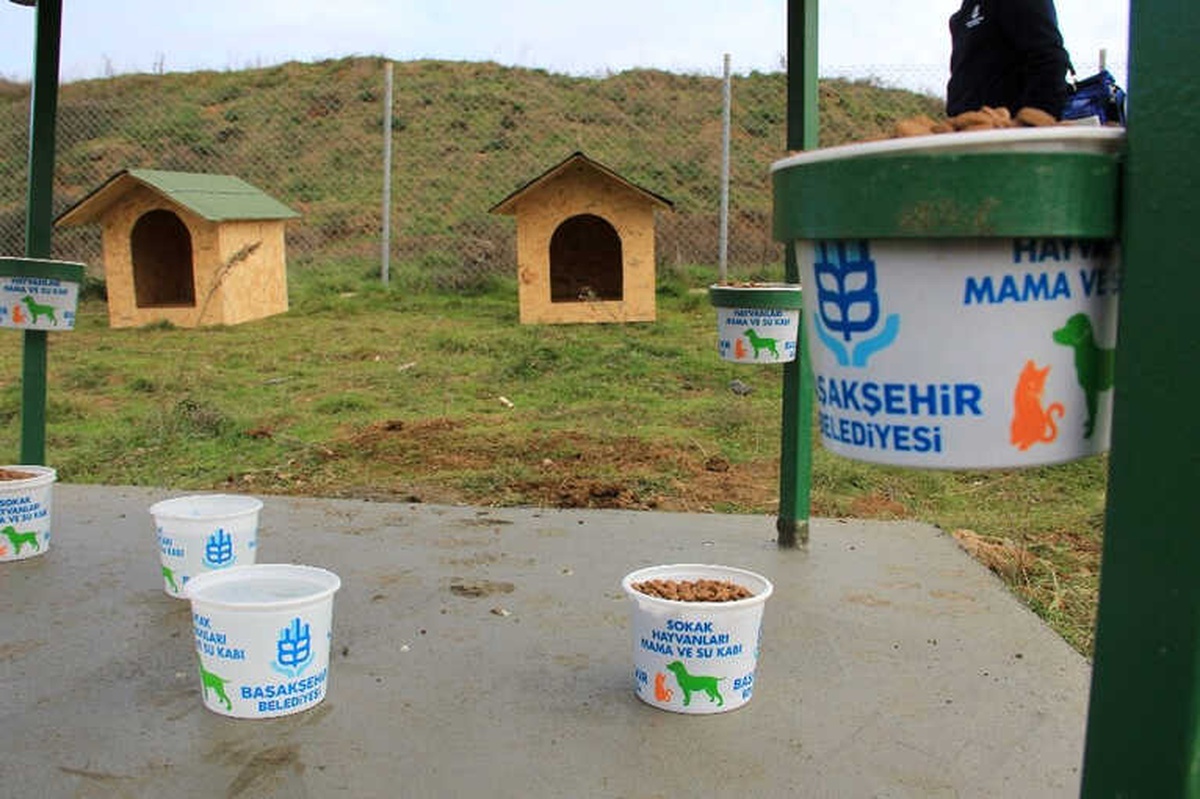 Başakşehir Belediyesi\'nden Sokak Hayvanlarına Sıcak Yuva ve Barınak Noktası