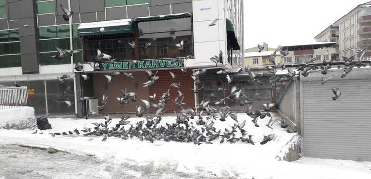 Güvercinlere Esnaf Sahip Çıktı