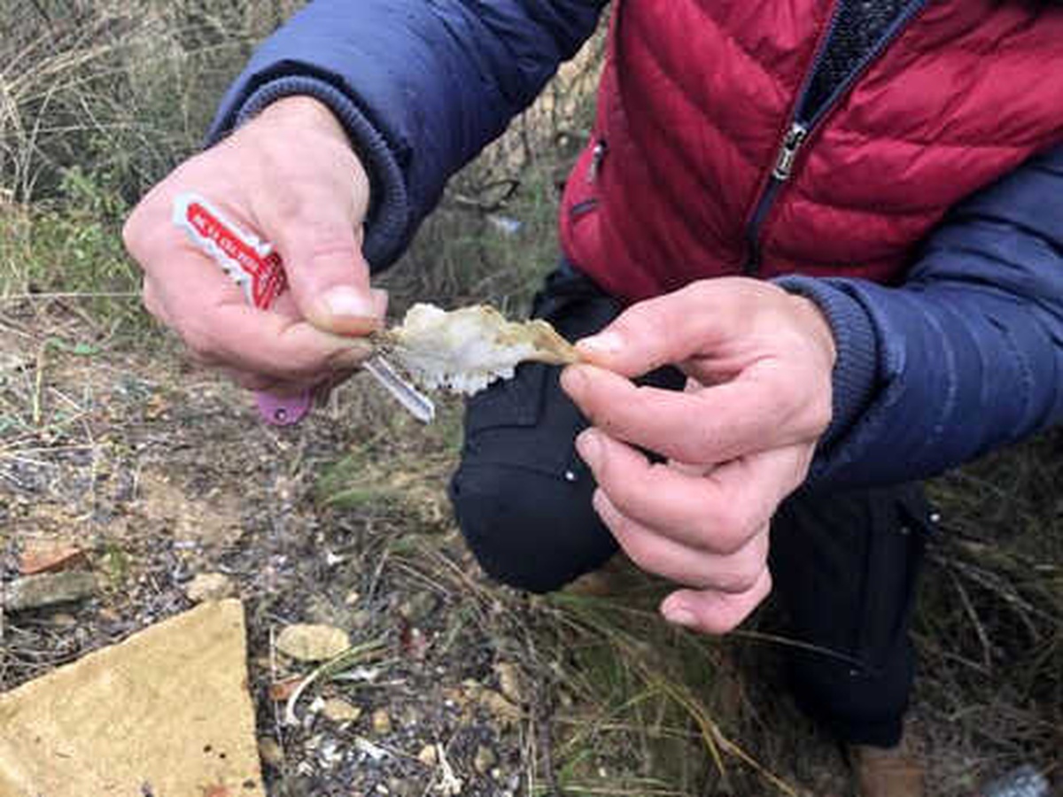 İznik\'te Tarlada İş Makinesi ile Kaçak Kazı