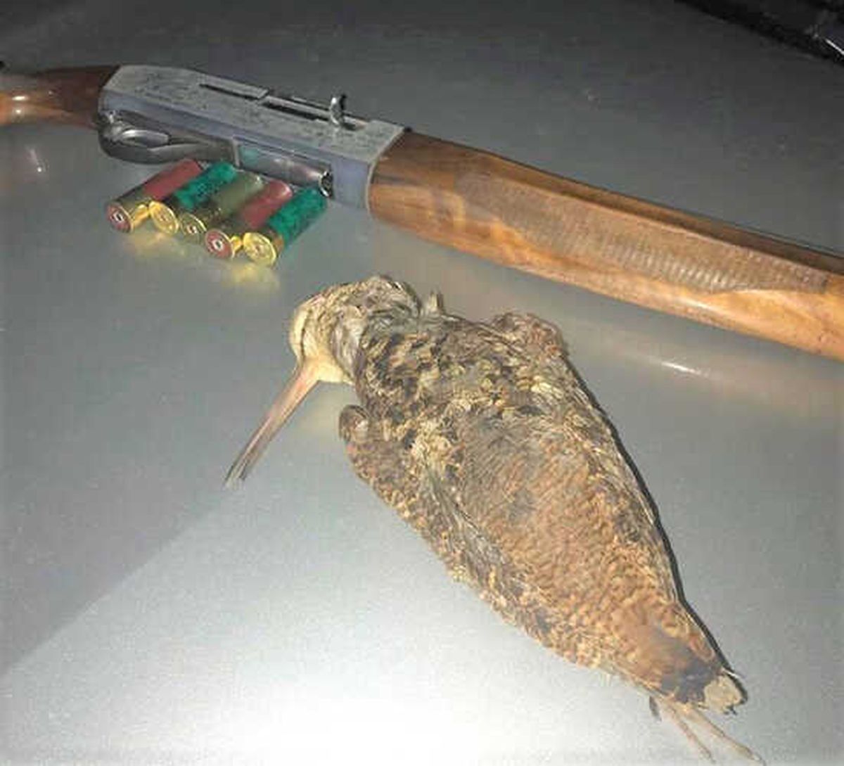 Kaçak Avlanan Avcıya Ceza Yağdı