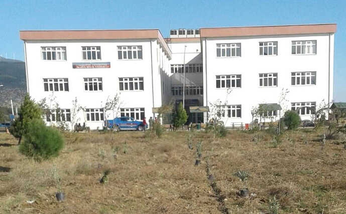 Şehitler Anısına Yetiştirilen Zeytin Fideleri Toprakla Buluştu