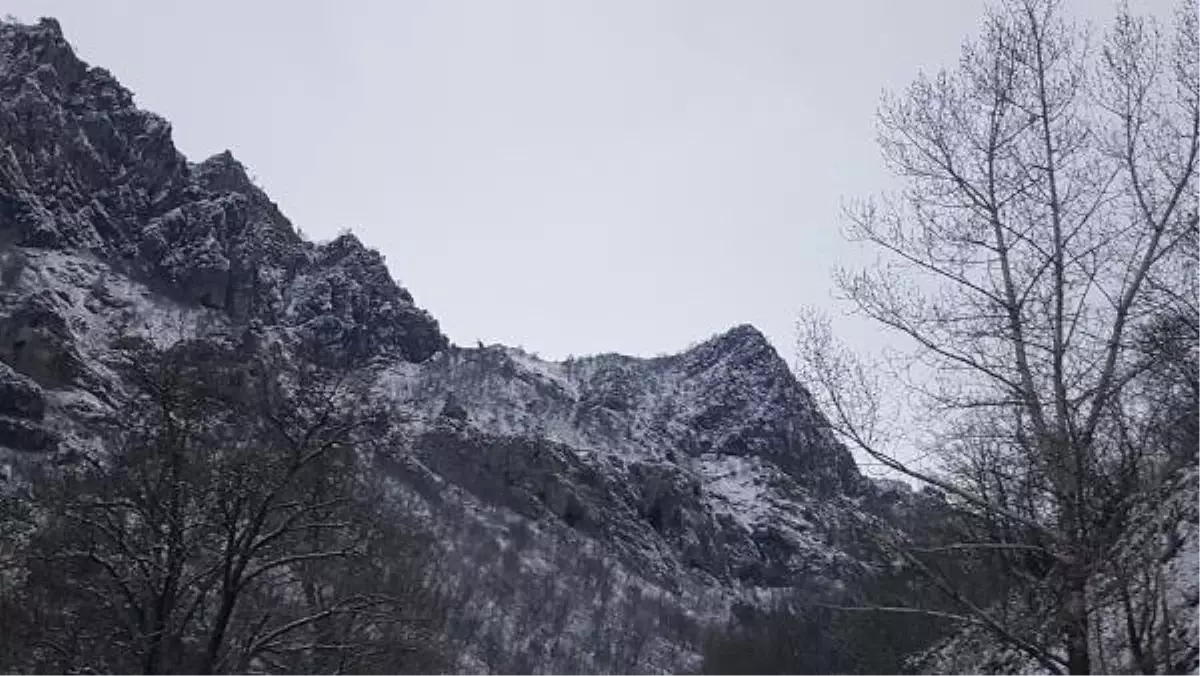 Tunceli\'de, Mağarada Saklanan PKK\'lı Teröristlere Operasyon (2)