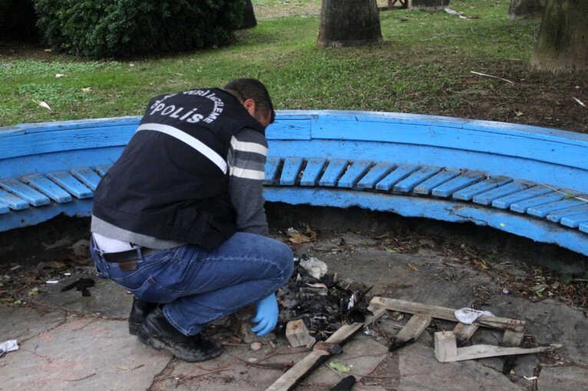 Yavru Kediyi Yakarak Öldürdüler