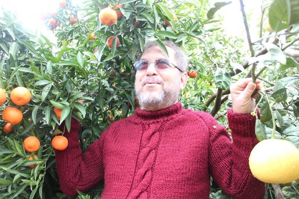 4 Ülkenin Meyvesini Tek Ağaçta Yetiştirdi, Bahçe Ziyaretçi Akınına Uğradı