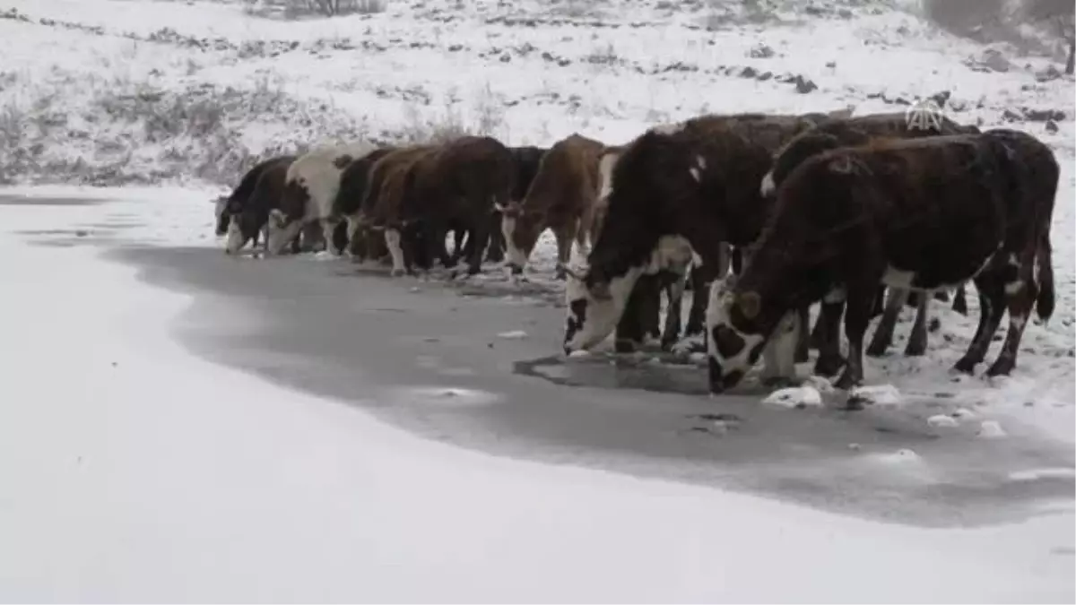 Aktaş Gölü\'nün Yüzeyi Buz Tuttu