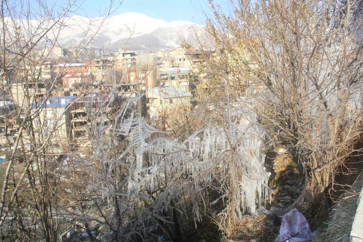 Hakkari\'de Ağaçları Buz Tuttu