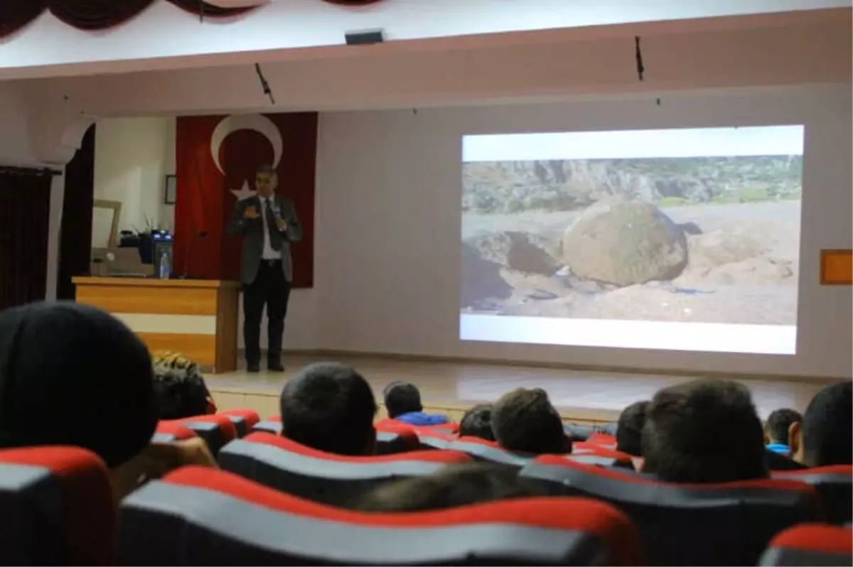 Deniz Kaplumbağaları İçin "Ay Işığı" Projesi