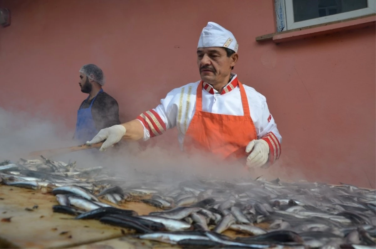 Ordu\'da Hamsi Şenliği