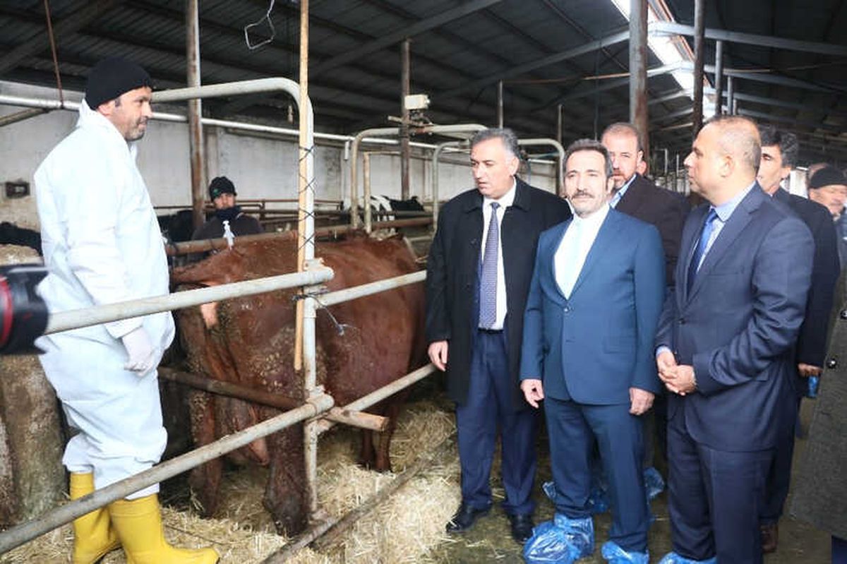 Aksaray\'a Embriyo Transfer Merkezi Kuruldu