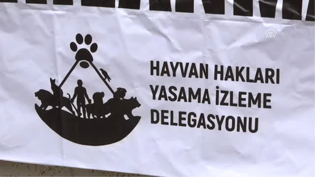 Hayvan Hakkı Savunucularından Erdoğan\'a Mektup
