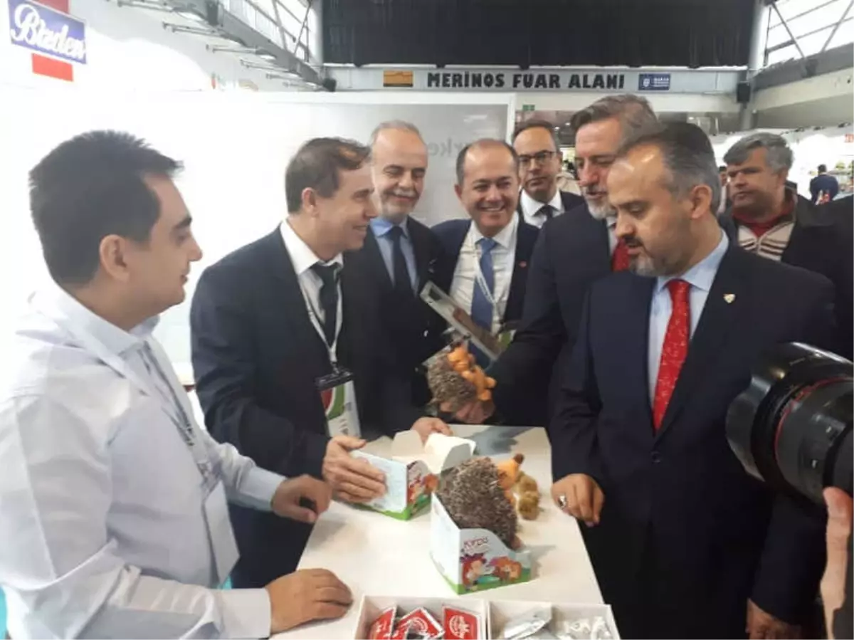 Kardelen Kestane Şekeri \'Kirpiş\' Maskotuyla Raflarda