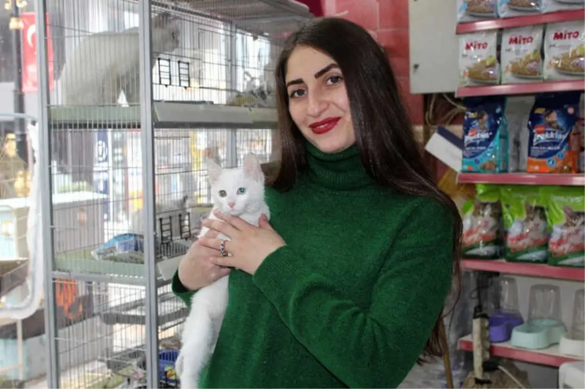 Kış Aylarında Pet Shoplara Yoğun İlgi