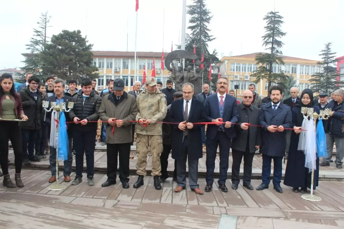 Toplanmayan Yapraklar Sergiye Dönüştü