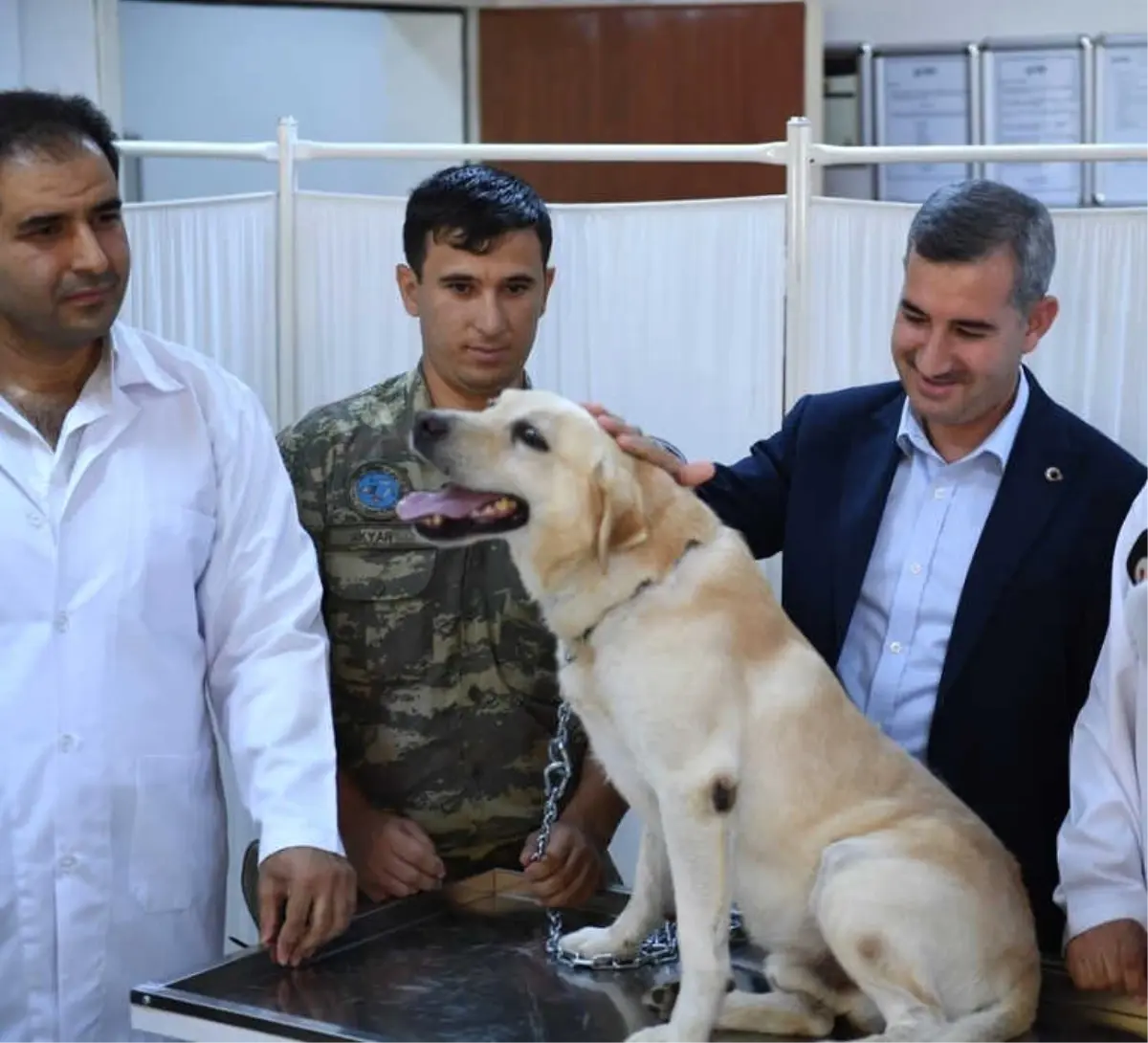 Yeşilyurt Belediyesi Doğanın Sevimli Canlılarına Sahip Çıkıyor