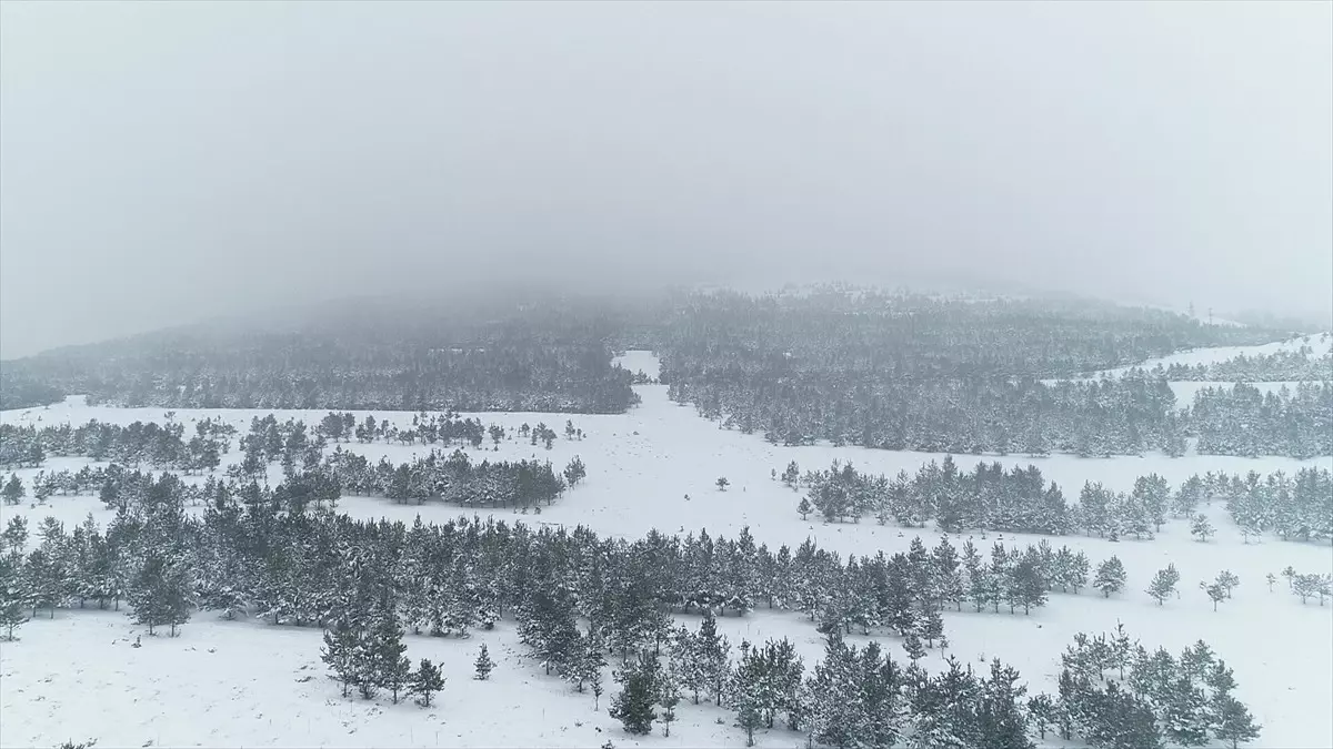 Doğuda Kar Hem Çile Hem Güzellik Getirdi