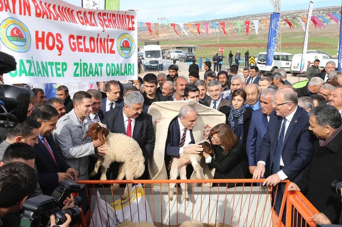 Gaziantep\'te Tarım ve Hayvancılığa Büyük Destek