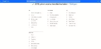 Google: Türkiye'de Bu Yıl En Çok Dolar ve Soy Ağacı Arandı