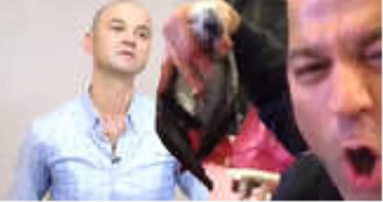 Murat Özdemir\'in İşkence Uyguladığı Papağanı Koruma Altına Alındı