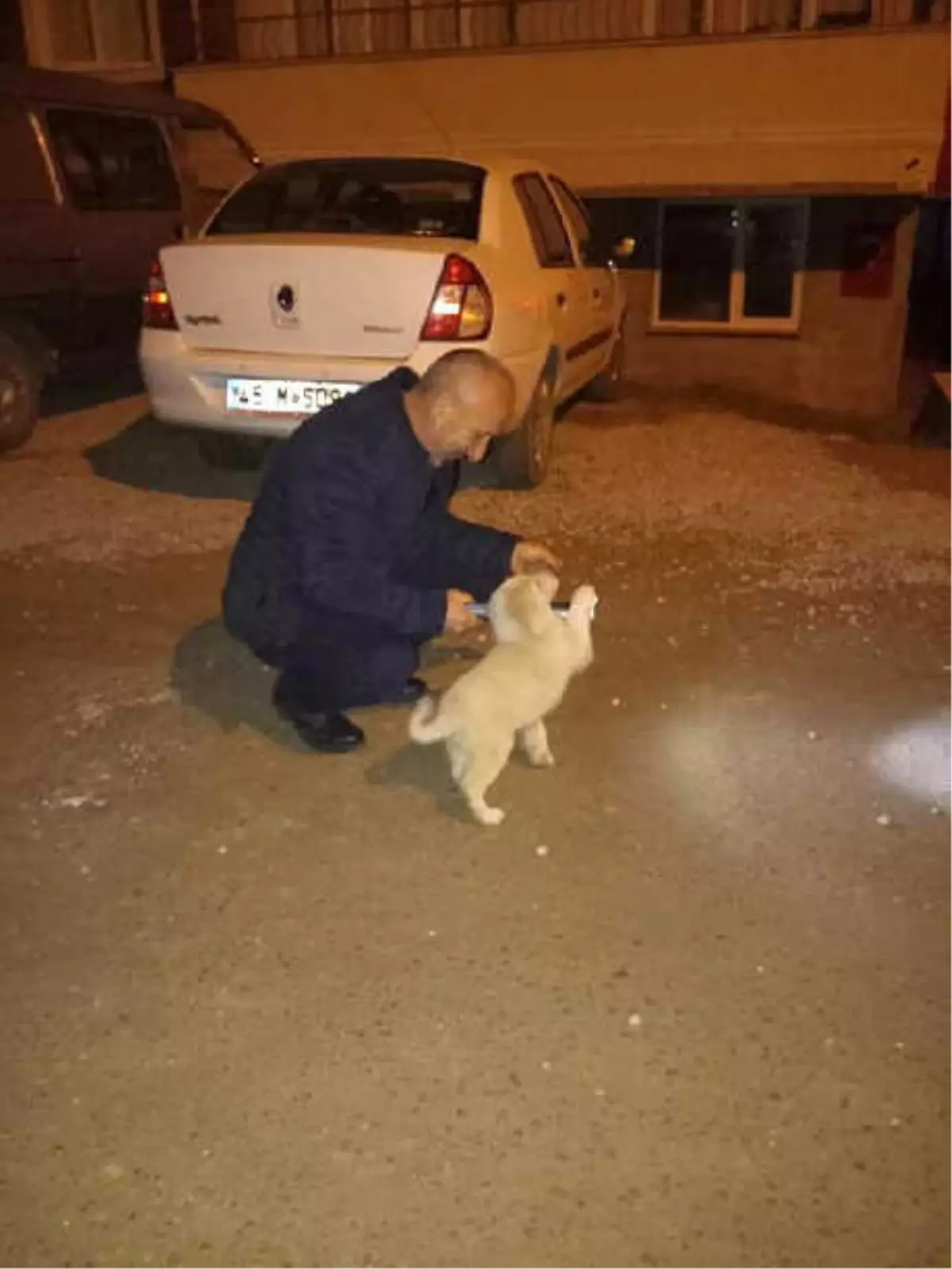 Tel Örgüye Sıkışan Yavru Köpeği Kurtardı