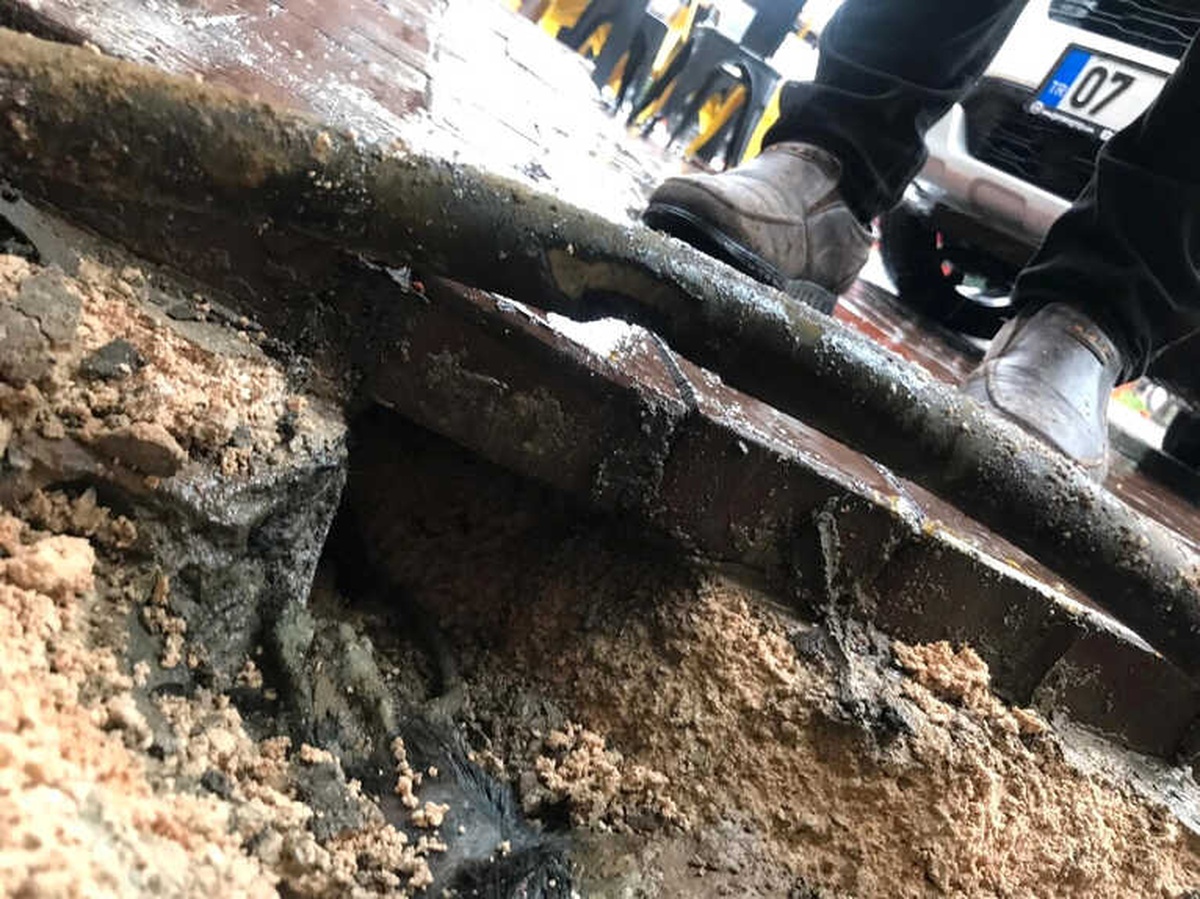 Fareler En İşlek Caddeyi Elektriksiz Bıraktı
