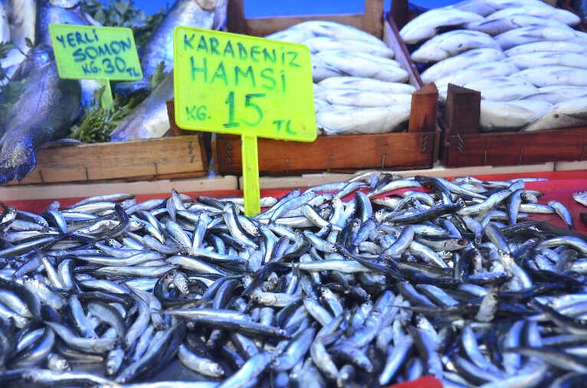Hamsinin Fiyatı Daha da Artabilir