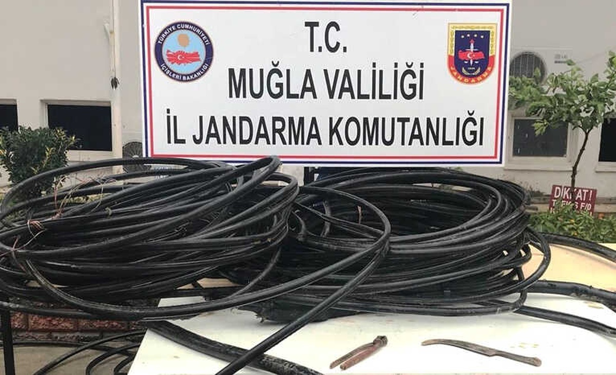 Kabloları Keserken Suçüstü Yakalandılar