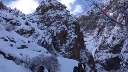 Karla Kaplı Arazide PKK'ya Ağır Darbe - Son Dakika