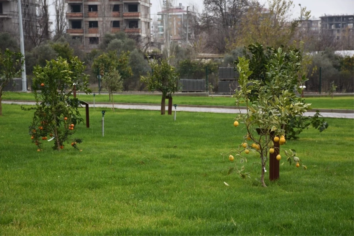 Nazilli\'de Mustafa Alptuğ Sözen Meyve Bahçesine Görkemli Açılış