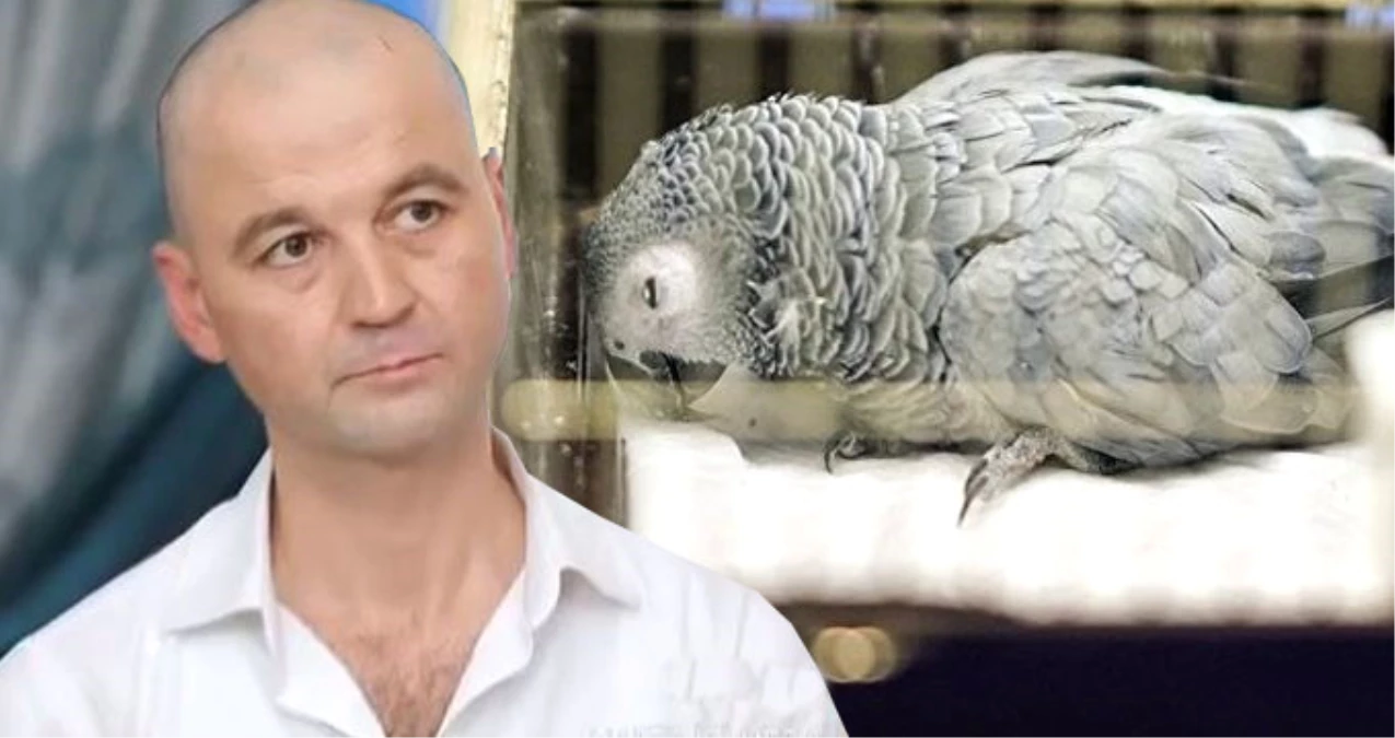 Papağana İşkence Yapan Murat Özdemir\'in Tepki Çekecek Yeni Görüntüleri Ortaya Çıktı
