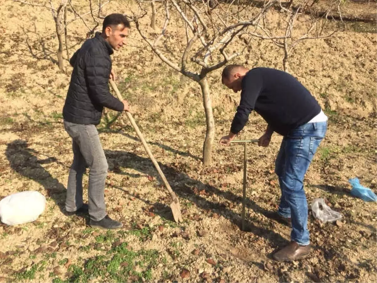 Siirtli Çiftçiler Toprak Analizi Ücretsiz Yapacak