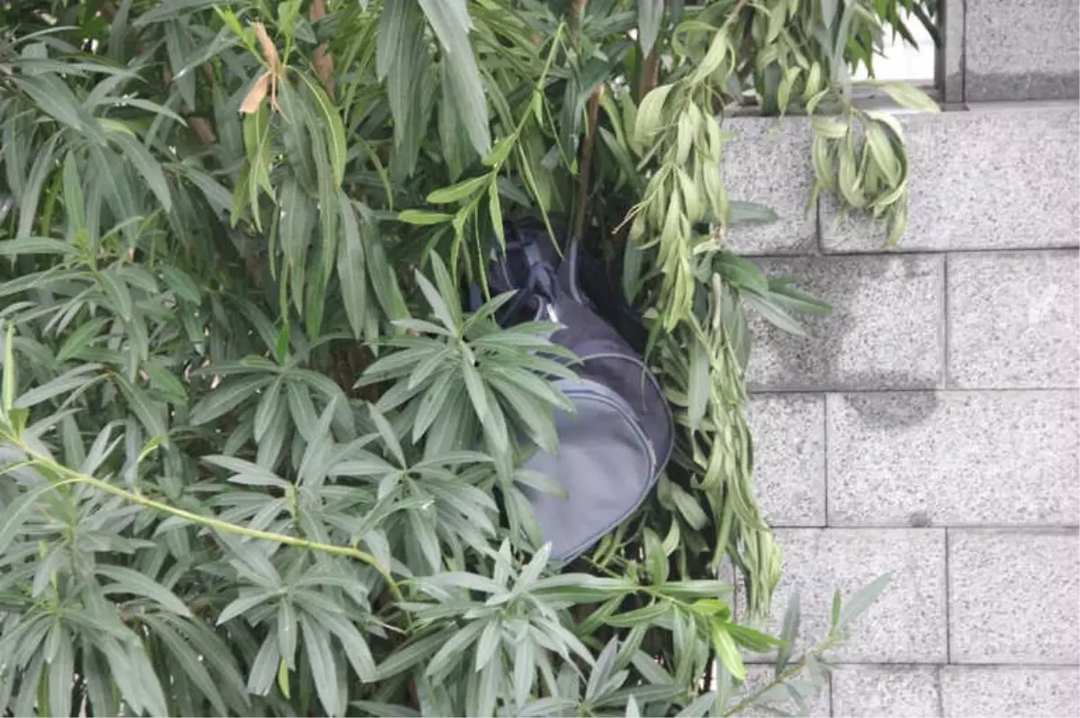 Şüpheli Valizin, Patlatılmasını Canlı Yayın Yaparak İzlediler