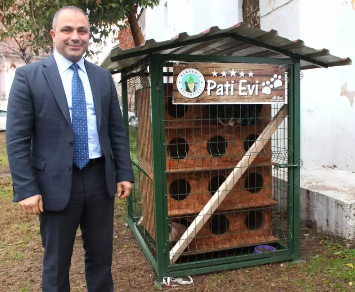 Alaşehir Belediyesinden Kedilere "Pati Evi"