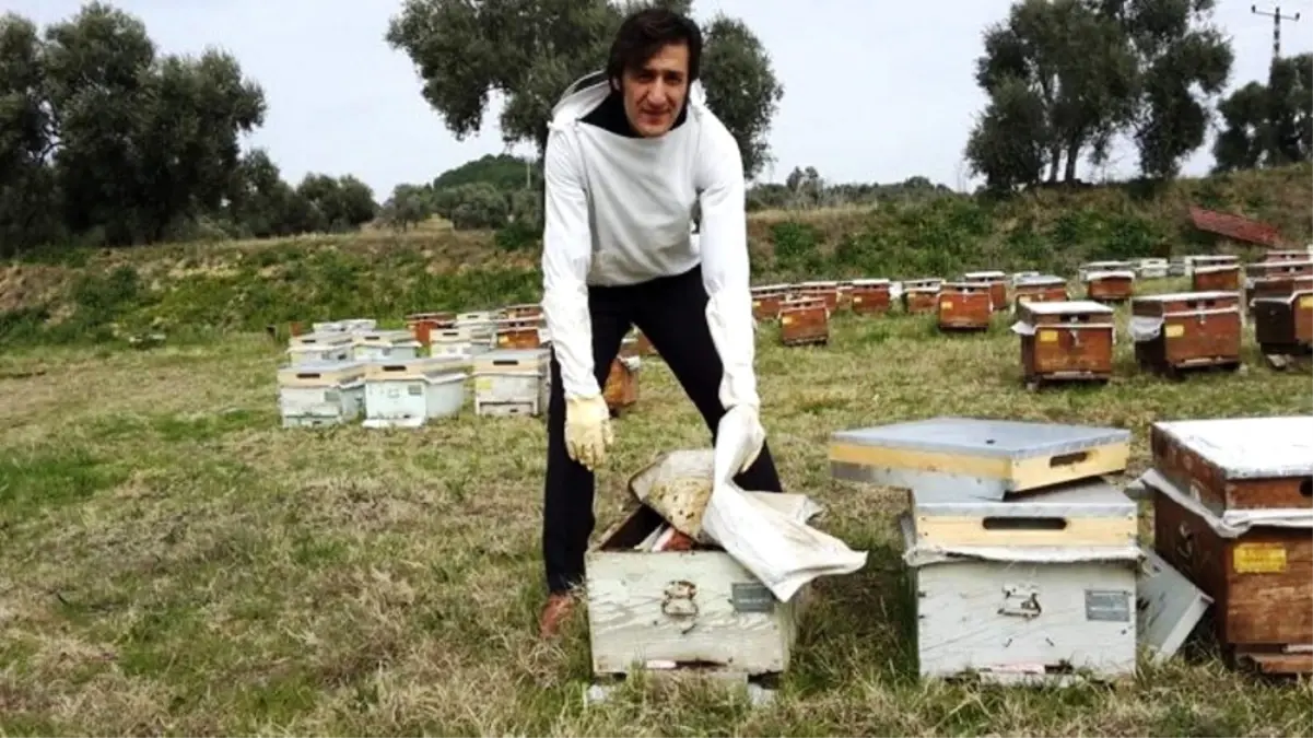 Arılarda Kış Bakımlarına Başlandı