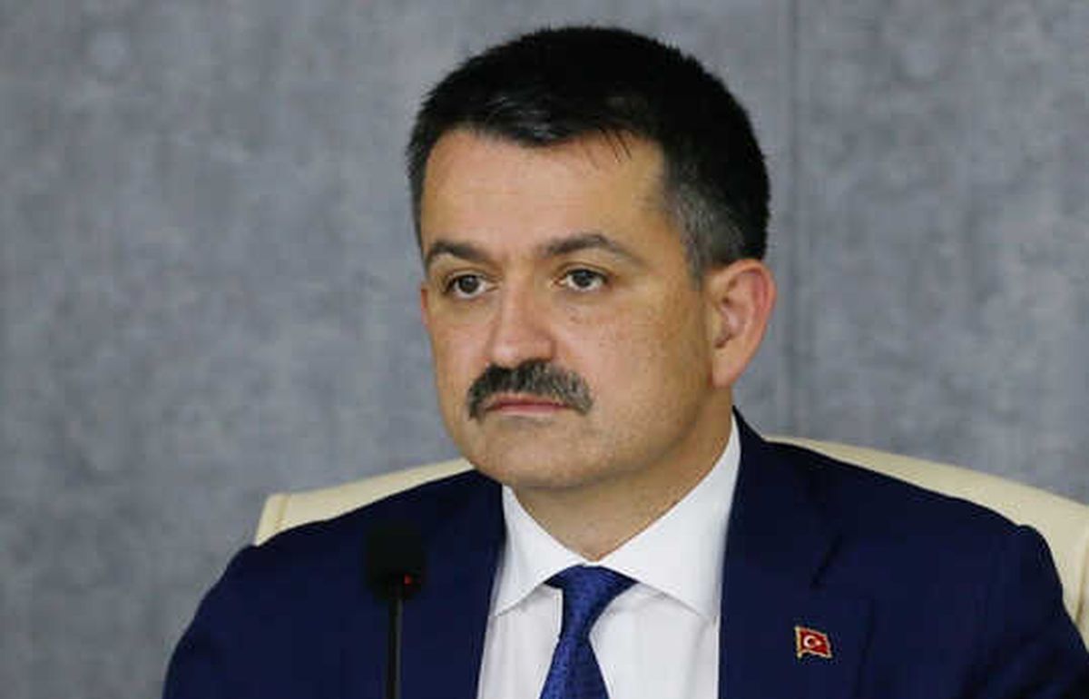 Bakan Pakdemirli, 2019 hedeflerini açıkladı